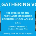 Gathering Voices 06.25.26